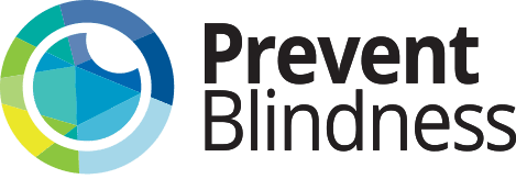 Sports-Eye Safety Awareness Month – Envision Eyecare