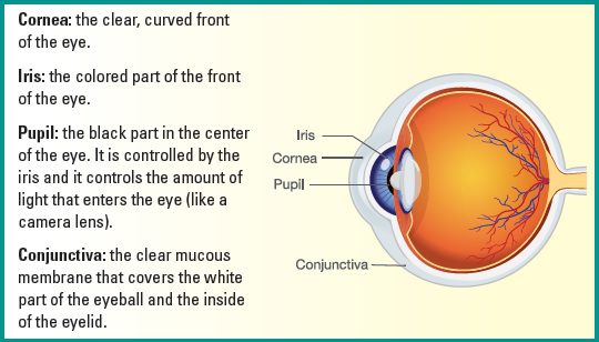 keratitis vs conjunctivitis