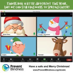 Holiday Zoom infographic