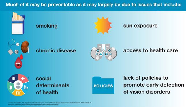 The variance of visual acuity loss and blindness between states may possibly be largely due to preventable issues