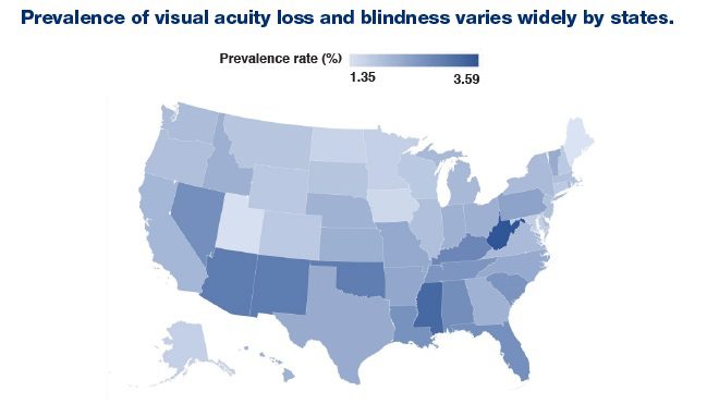 Prevalence of visual acuity loss and blindness varies widely by state.