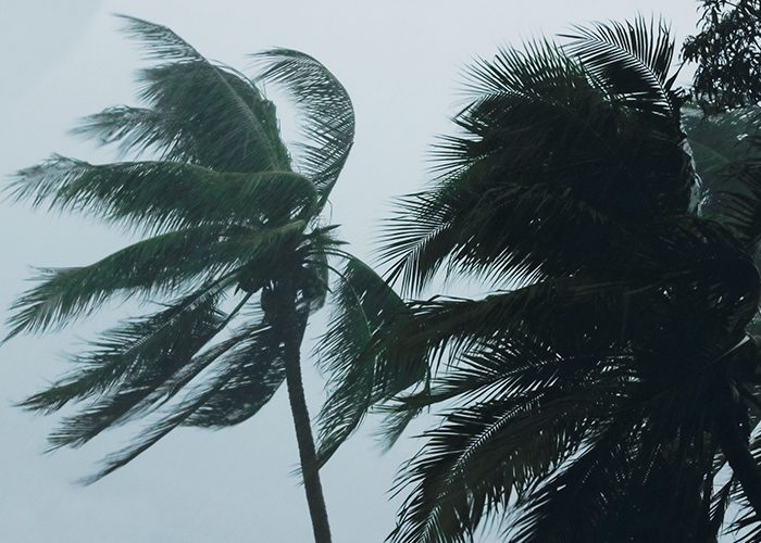 eye safety for hurricanes and disaster cleanup