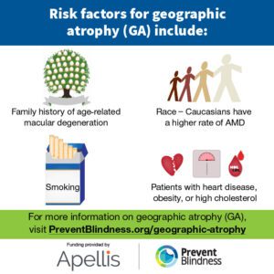 Risk factors for geographic atrophy (GA)