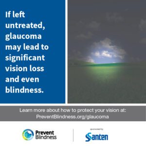 If left untreated, glaucoma may lead to vision loss or even blindness.