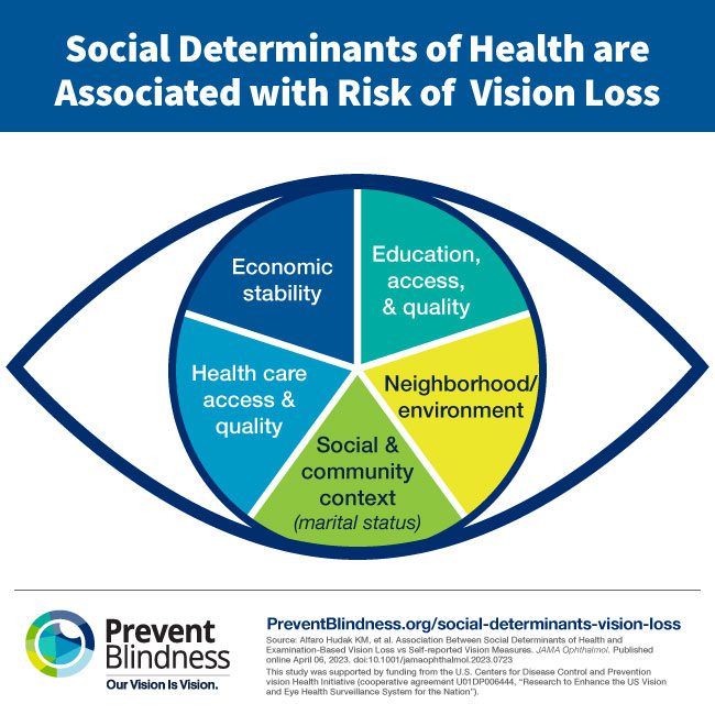 Social Determinants of Health are Associated with Risk of Vision Loss