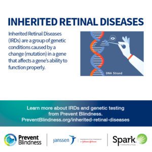 Inherited Retinal Diseases are a group of genetic conditions caused by a change (mutation) in a gene that affects the gene's ability to function properly.