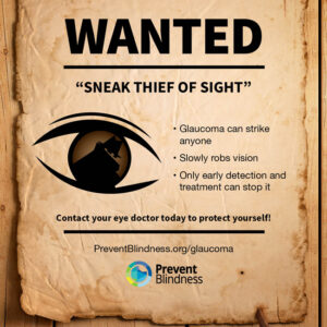 Wanted, the Sneak Thief of Sight