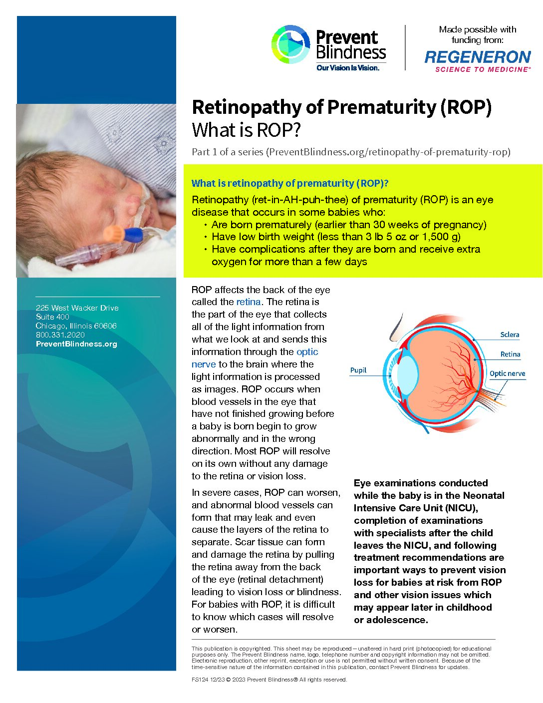 Retinopathy of Prematurity (ROP)