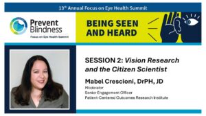 Vision Research and the Citizen Scientist