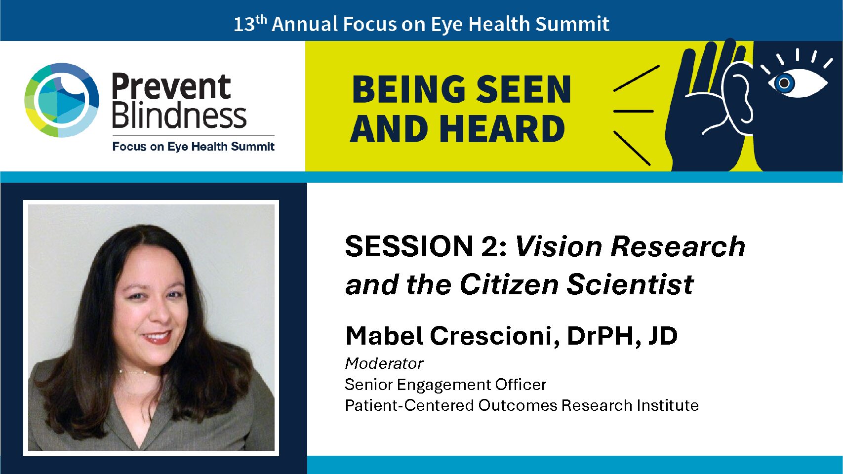 Vision Research and the Citizen Scientist