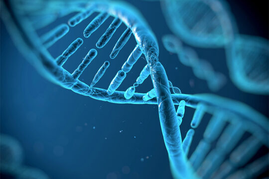 May is the Second Annual Inherited Retinal Disease and Genetic Testing Month at Prevent Blindness