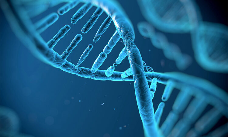 May is the Second Annual Inherited Retinal Disease and Genetic Testing Month at Prevent Blindness