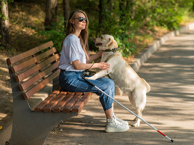 an individual with visual impairment using a cane and a seeing eye dog