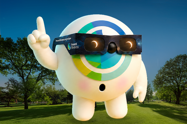 Get Ready for the Next Eclipse! Get Ready for the Next Eclipse!
