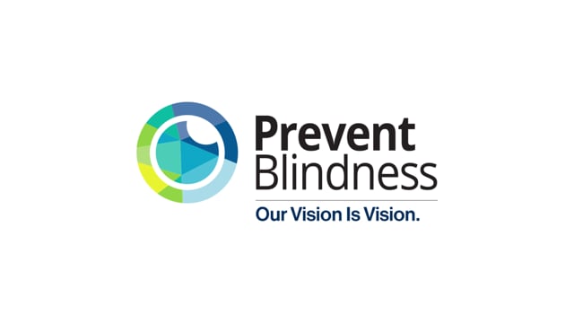 Global Retinopathy of Prematurity (ROP) Program Development: Opportunities for Innovation, Education, Advocacy, and Collaboration