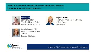 Why the Eye? Policy Opportunities and Obstacles Around Vision and Mental Wellness