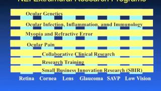 Focus on Eye Health: A National Summit - National Plan for Eye and Vision Research