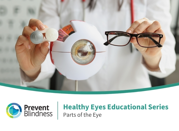 Prevent Blindness Healthy Eyes Educational Series: Parts of the Eye